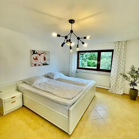 Mid-century Donaueschingen