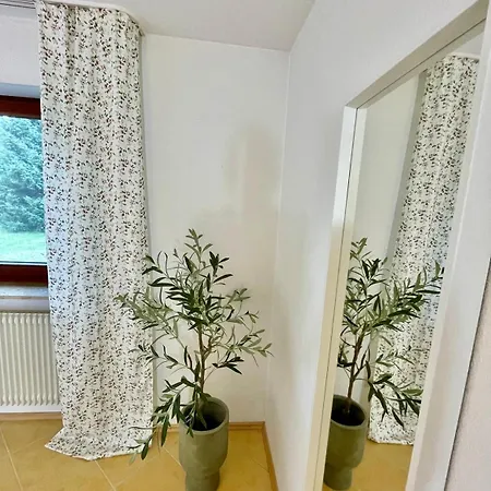 Mid-century * Donaueschingen